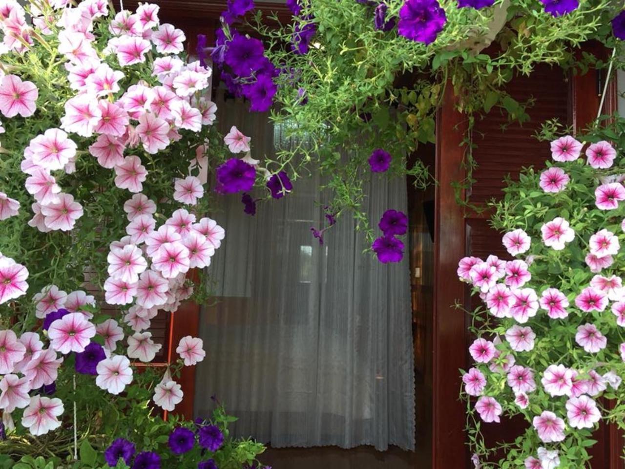 Khamy Riverside Villa 호이안 외부 사진